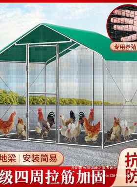 户外鸡鸡笼子鸡鸭鸽笼家禽大型孔雀遮雨鸡全CDN舍搭建养殖鸡笼棚