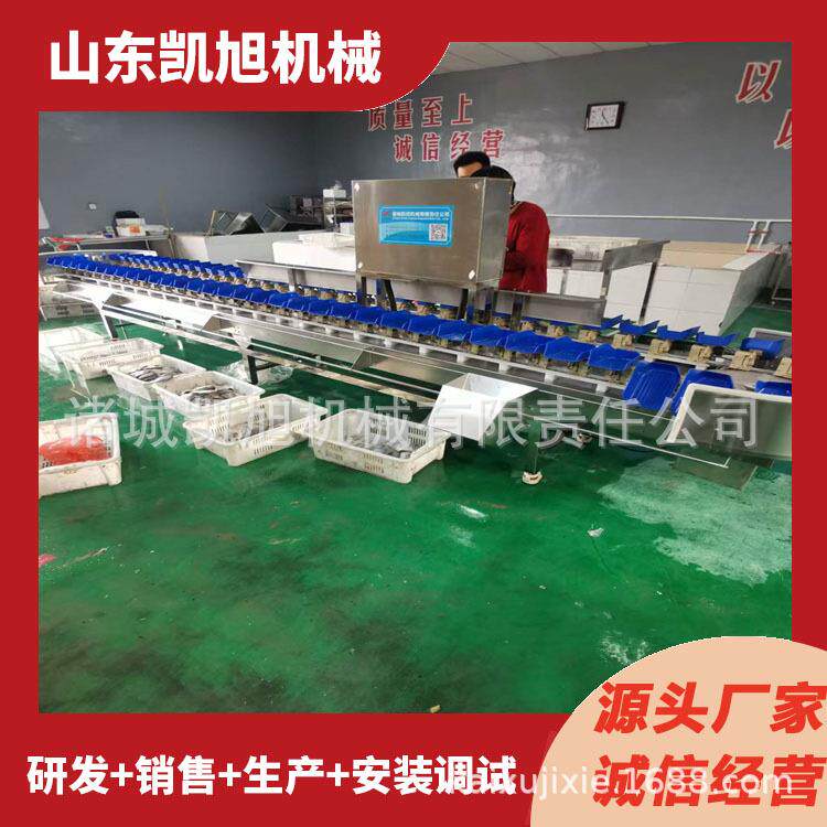 鱿自鱼带八八爪鱼动称重TVU多级分选 鳕鱼片重量筛选机机 源头厂