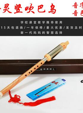 高档工厂直供仿木色升级加巴固塑竖吹乌C降B调小学生初胶学入调门