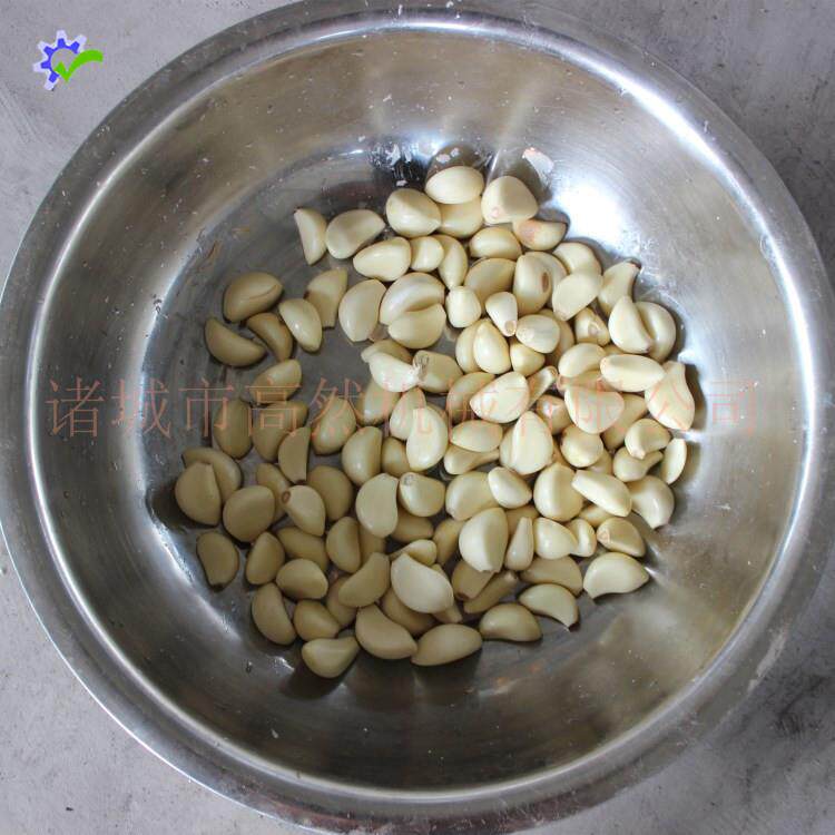山东高然供应不锈钢大蒜去皮机干式大蒜脱皮机效果好