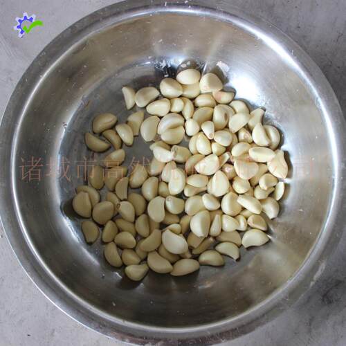 供应不锈钢剥蒜皮机气动大蒜脱皮机蒜米干法去皮设备