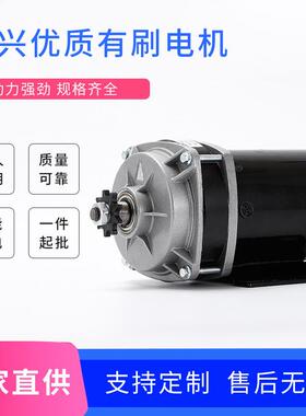 直购48V500W有刷直流减速电机低噪音电动机永磁中置电机