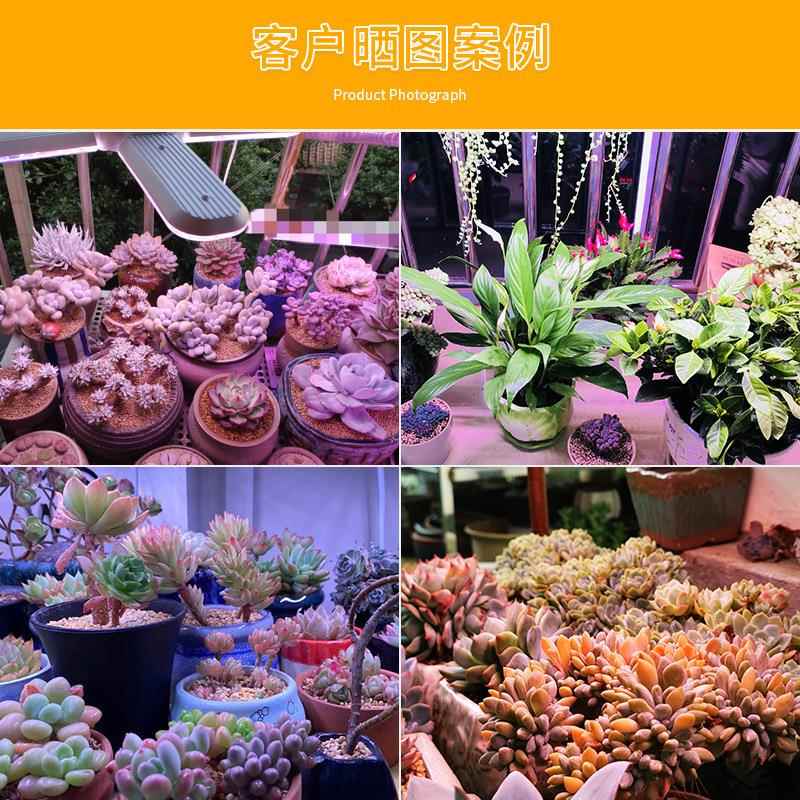 全补光谱植物生长灯折叠款室红蓝家用内绿植日照花卉多肉NSC灯光