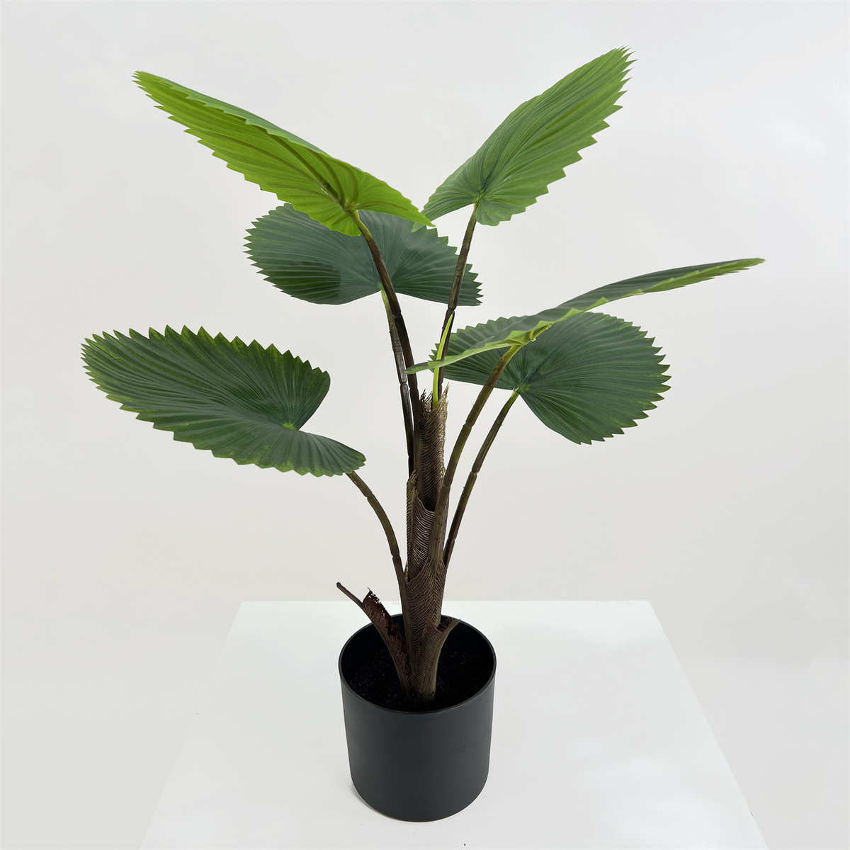 仿真圆叶棕榈树盆栽仿真植物盆景家居装饰工艺品批发圆叶轴榈北欧