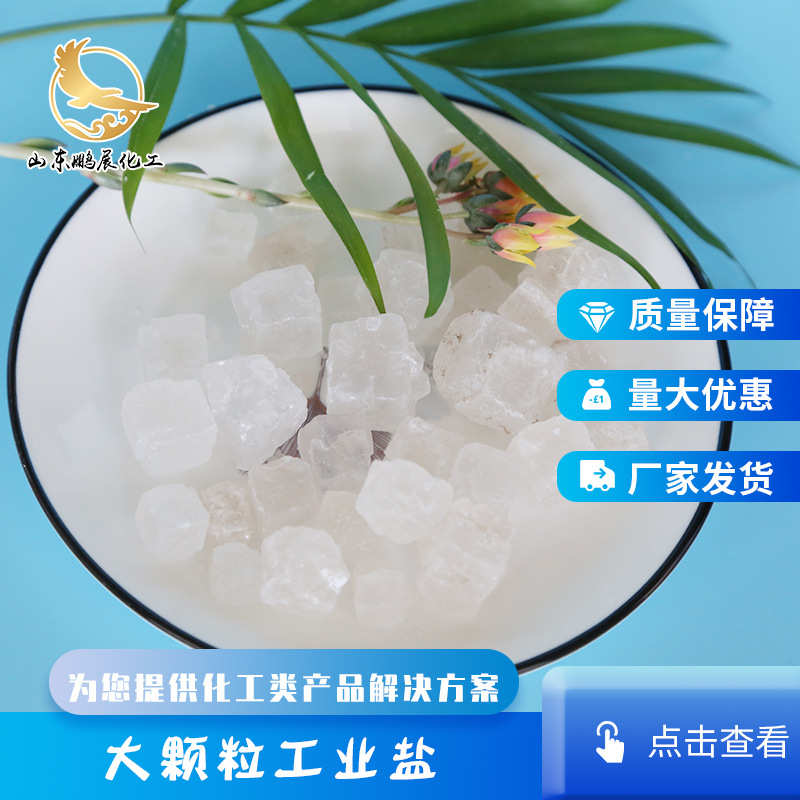 粗盐大颗级盐工业99 工业工业盐现货供应含量粒大颗厂家粒 工业用