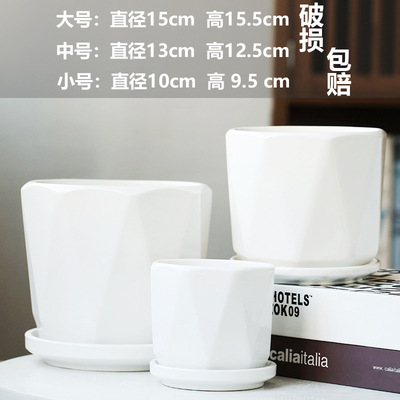 TEMU蝴蝶兰花盆陶瓷清仓大号花瓶