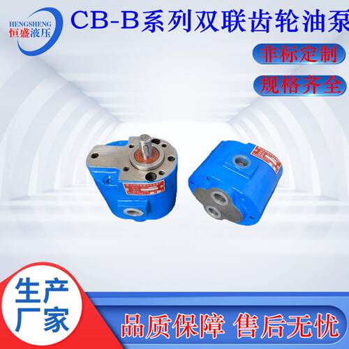 两进两出CB-B16/20 B10 B32 B80 B4 CB-B25/6双联润滑齿轮抽油泵