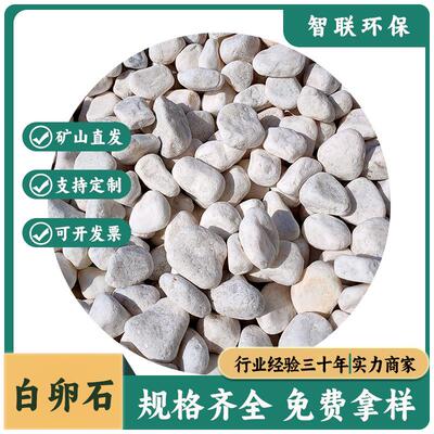 白石子现货园林造景铺路砾石卵石多肉铺面鱼缸装饰鹅卵石白色石子