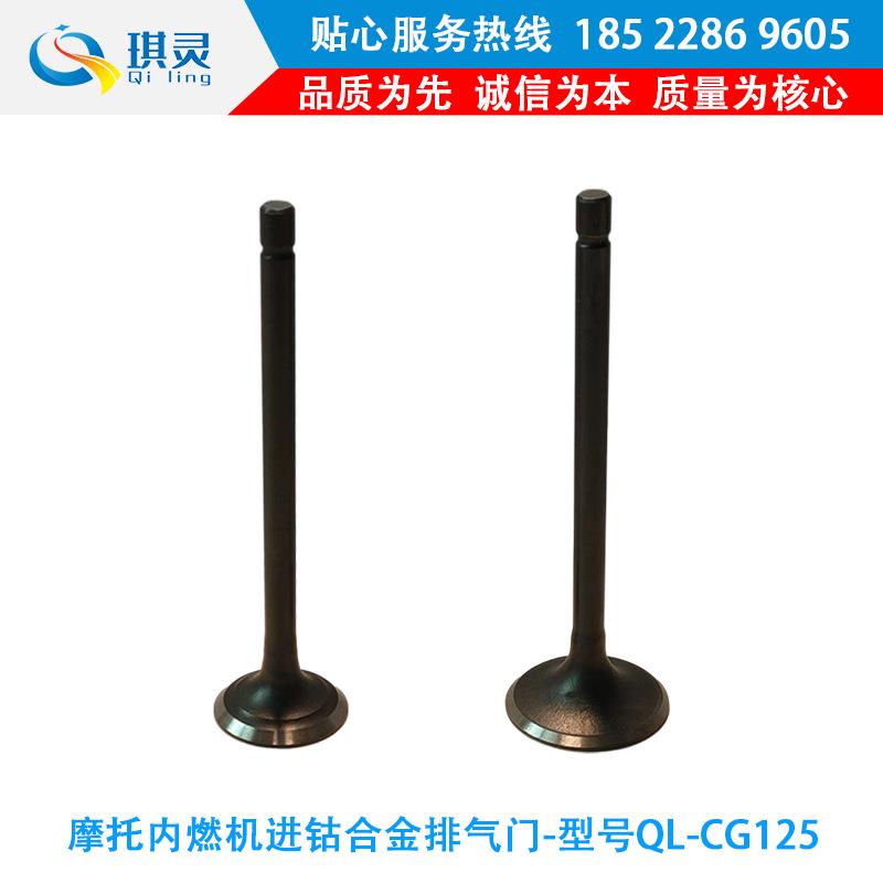 骑式摩托车车发动机进排气门QL-CG125进排气门气门进排气门油封