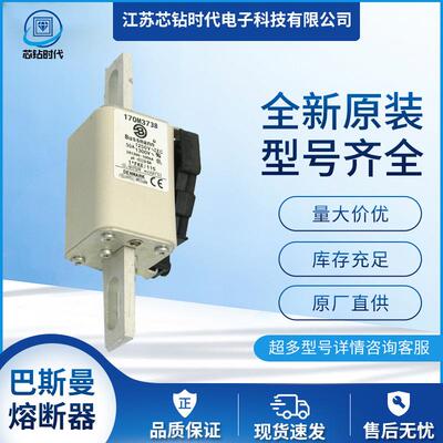 170M3744170M3745巴斯曼BUSSMANN快速熔断器保险丝