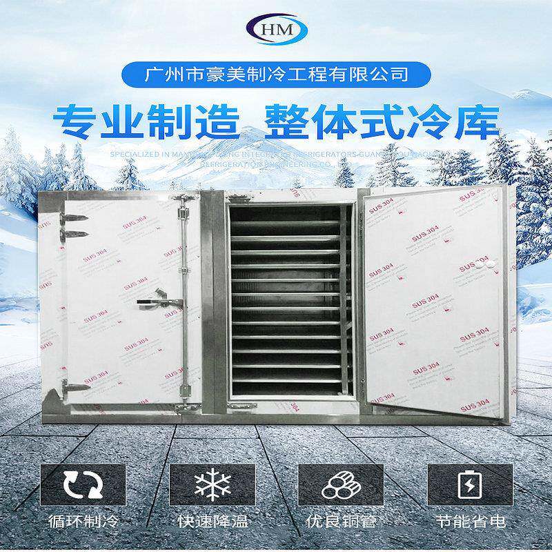 速冻柜新鲜水果海鲜牛肉移动急冻冷库速冻节能箱式