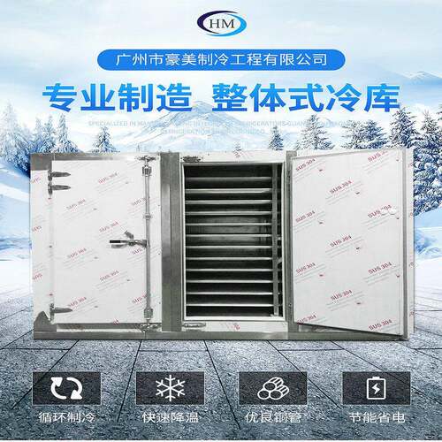 速冻柜新鲜水果海鲜牛肉移动急冻冷库速冻节能箱式