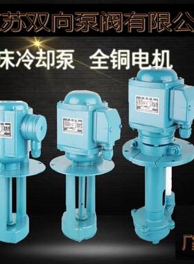 三相电泵A0B-25 380V自吸泵高扬程井用农业深井自吸高扬程