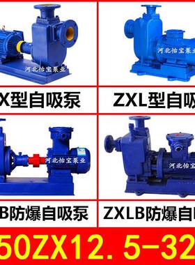 工业自吸式离心3泵泵2头380V自吸抽水AMW泵海水泵KW清水50Z泵X1.5