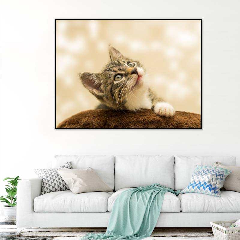 可爱宠物装饰画现代简约卧室挂画猫咪狗狗儿童房墙壁画温馨室内画图片