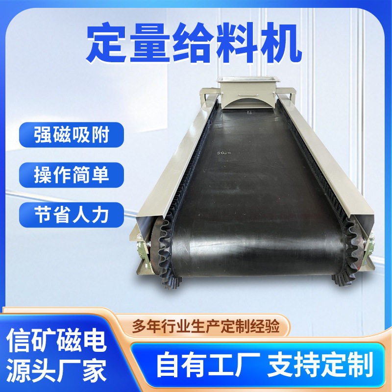 定量给料机皮带配料秤调速给煤机水泥厂用电子皮带秤定量给料机