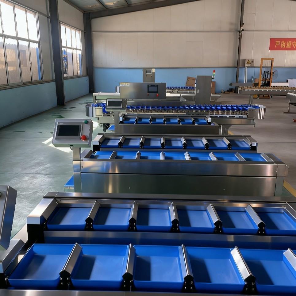 多工位糖果零食定量手工加料皮带式分装组合称水果半自动称重机