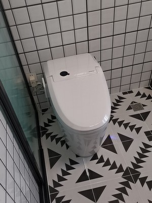 德国摩柏K4000智能马桶盖怎么样听说质量差评判有依据吗