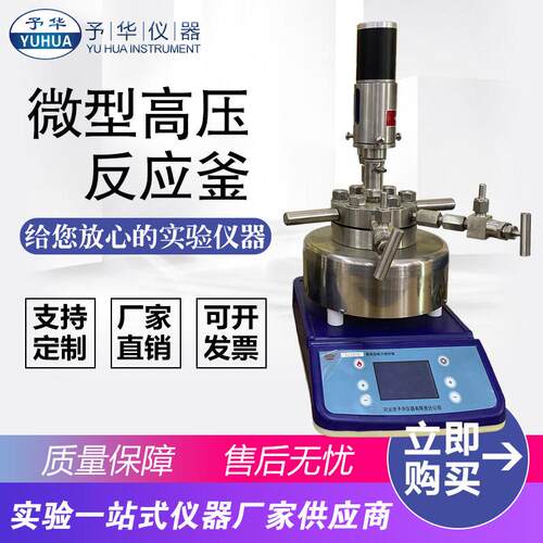 微型高压反应釜TGYF-C数显0.05/0.1/0.25/0.5L磁力搅拌高压反应釜