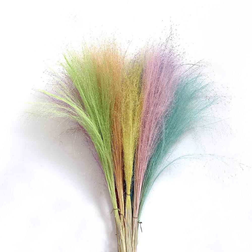 【干花粉黛】网红粉黛乱子草干花自带仙女气干花展会家居布置染色