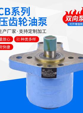 CB-BW菱型齿轮油泵CB-BW-16直联式齿轮油泵WCB-63齿轮油泵型号多