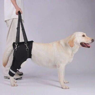Legs Hip Support Dog Lift Harness Black Sturdy Handle Dog