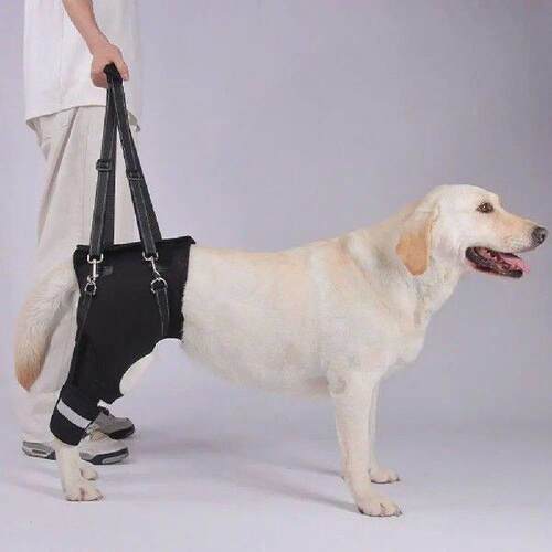 Legs Hip Support Dog Lift Harness Black Sturdy Handle Dog