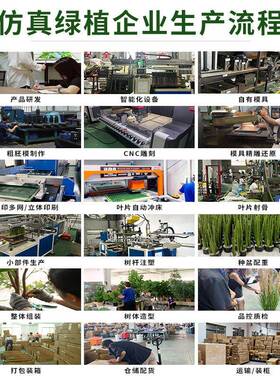 YJ-00155真散尾葵凤尾葵绿植落地盆仿棕栽大客厅装饰摆件假树榈树