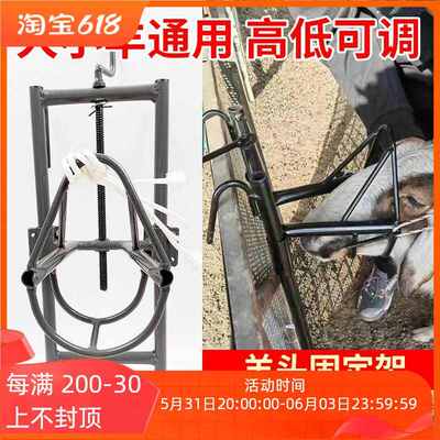 高低可调羊头固定架羊用剪羊毛输液打针配种挤羊奶固定器羊头架子