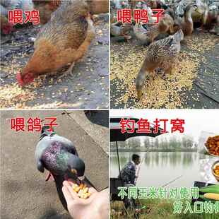 粮东北玉粒食玉米10斤粮家LRC禽饲料钓鱼米打窝鸽子非转基因烘干