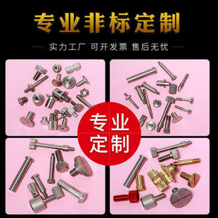 定做车床件非标螺丝订做五金加工定做异形螺母螺钉铜件不锈钢车件
