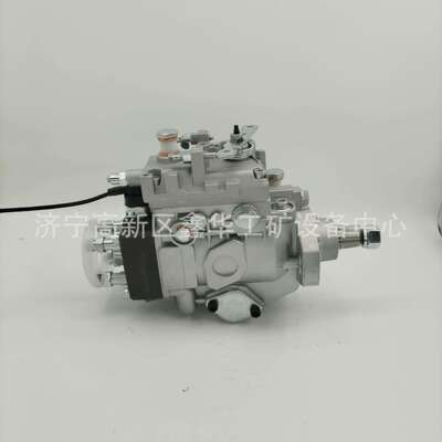 专业销售VE泵196000-5030 1960005030 104641-7270 1046417271