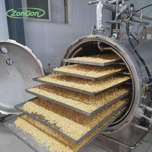 新型果蔬脆片变温压差膨化设备 苹果大枣桑葚红薯真空膨化机厂家