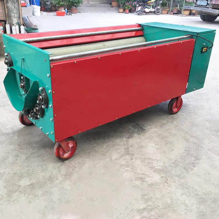 山西临汾1500KG/H产量鲜核桃去皮机剥壳机青皮核桃去皮机