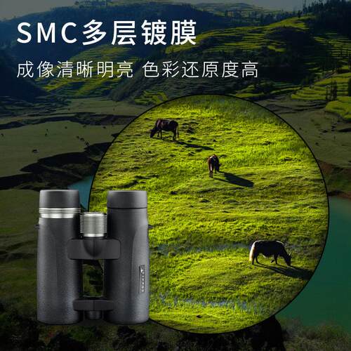胜途8X42/10X42 ED 双筒倍清夜视专业防水户外旅游寻蜂一万米