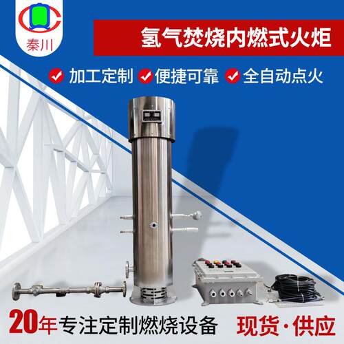 氢气焚烧内燃式火炬地面暗火火炬自动点火检测氢气尾气火炬放空