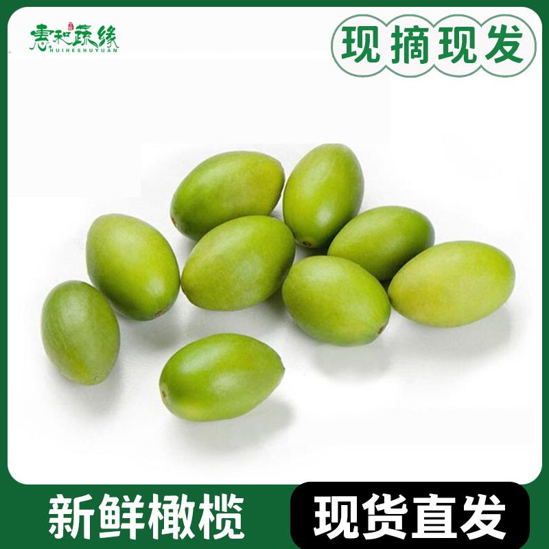 香甜青橄榄新鲜果现摘酥脆生吃回甘正宗水果煲汤生青果500g
