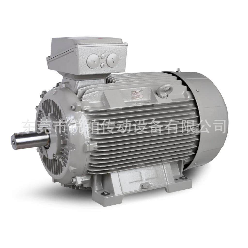 Rotor电动机荷兰原装 5RN90L 6RN100L铸铁铝壳IE1 IE2 IE3马达
