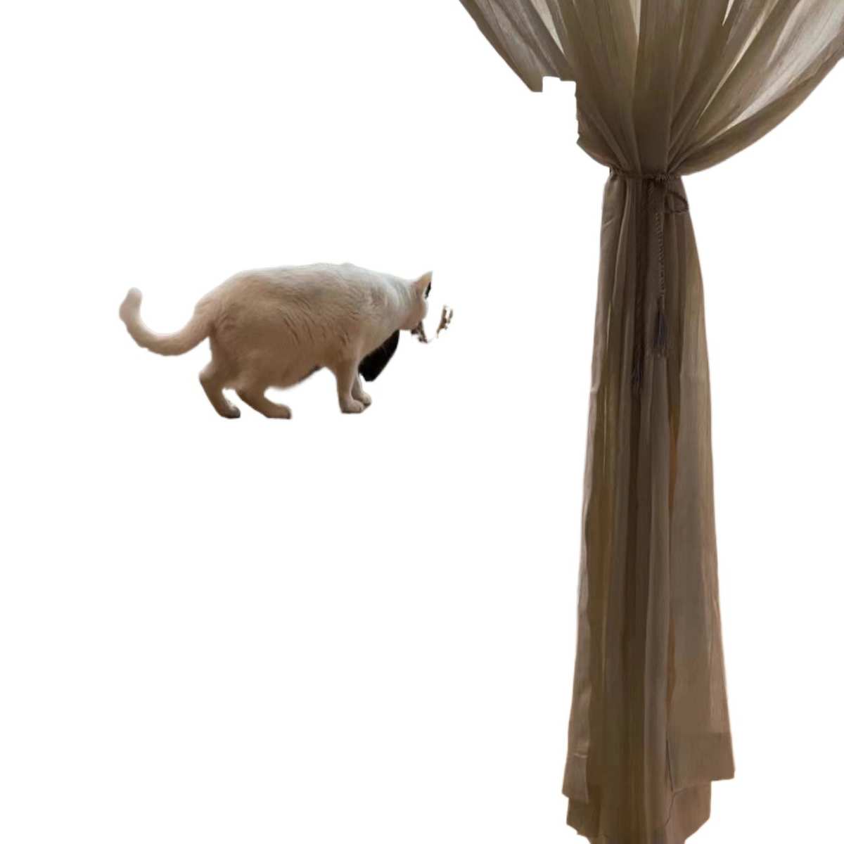 平台首推老榆木阳台矮桌茶桌书桌现代简约家用茶桌实木复古阳台桌