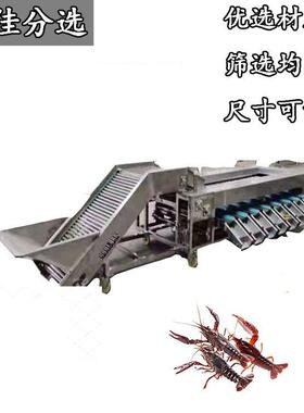 滚杠分选设备 自动变距 不伤物料 土豆分级机 核桃分选机 选果机