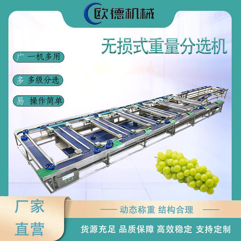 水果无损果托分选机 阳光玫瑰榴莲自由果托式皮带分拣机