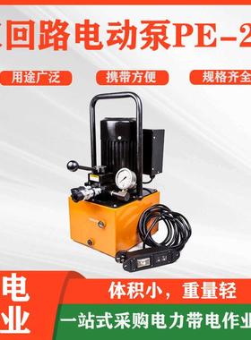 双回路清明电动泵PE2D双作用液压泵RT双回路液压站泵锂电池驱动泵