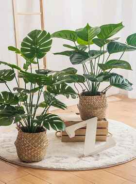 北欧仿真绿色植物小盆栽龟背竹假树造景盆客厅摆件装饰落地塑料花