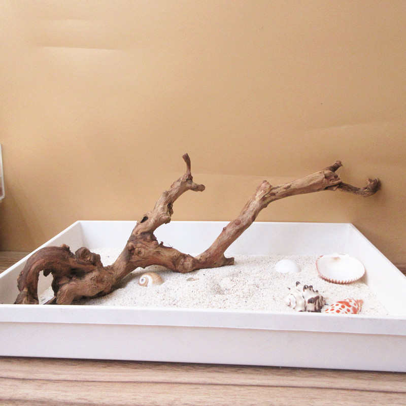 【珊瑚木枝条】寄居蟹攀爬躲避沉木 水族鱼缸饲养箱鸣虫爬宠造景