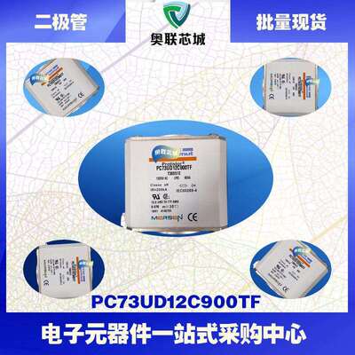 PC73UD13C350EFW300629PC73UD13C400EFX300630法国罗兰熔断器