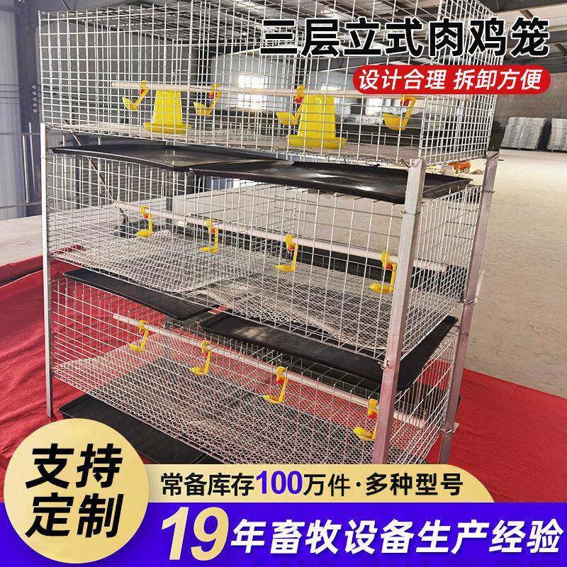 严选H型立式鸡笼镀锌雏鸡两用三层鸡笼层叠式含托粪盘塑料网水箱
