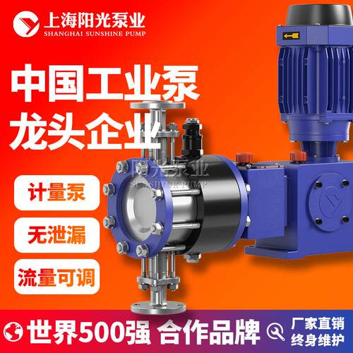DY-Z型液压隔膜式计量泵高压计量泵耐腐蚀计量泵型号