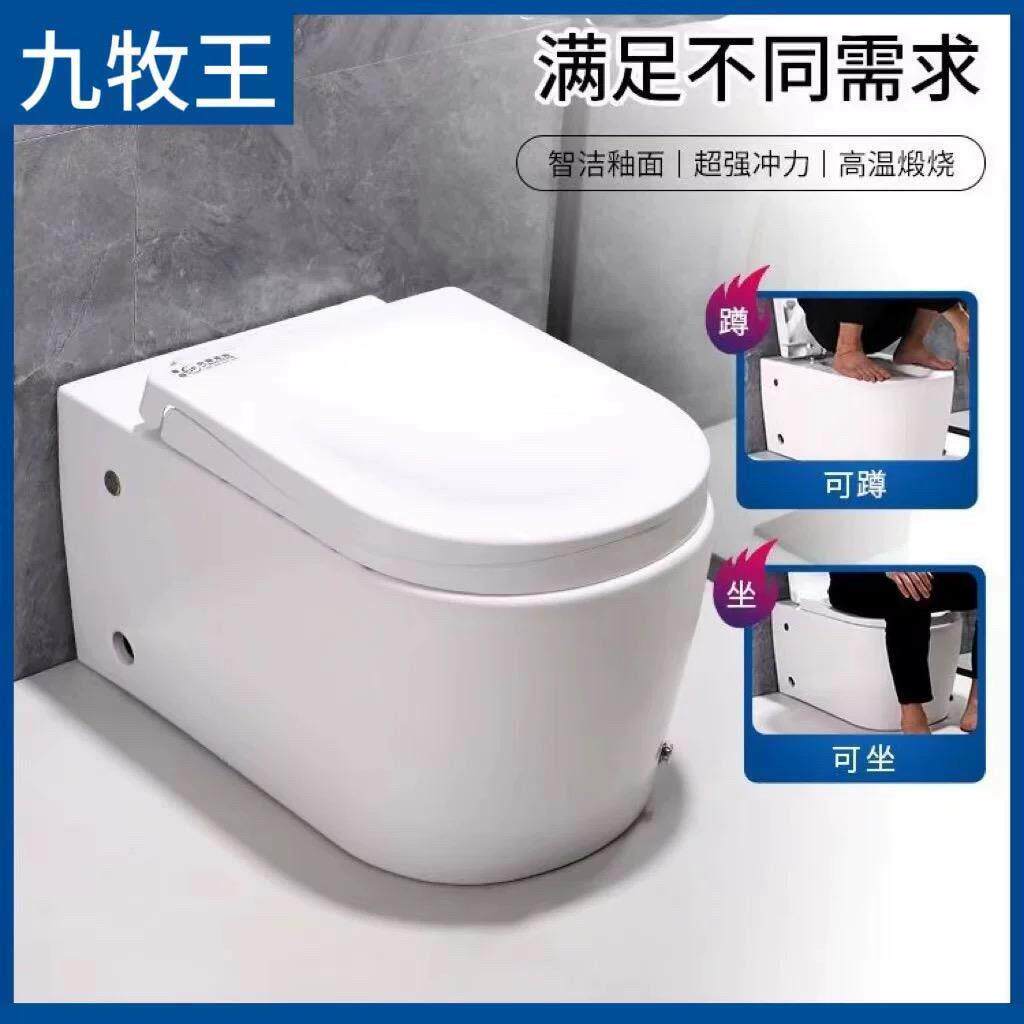 新款蹲坐两用马桶一体式可蹲可坐座便器双用蹲便器蹬坐厕二合一
