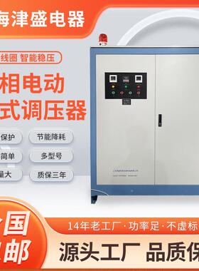 三相隔离调压器厂家TESGZ-30KVA三相大功率柱式电动调压器0-650V