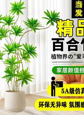 彷真绿色植物假花百合竹植物盆栽客厅电视柜落地高档装饰彷生树花